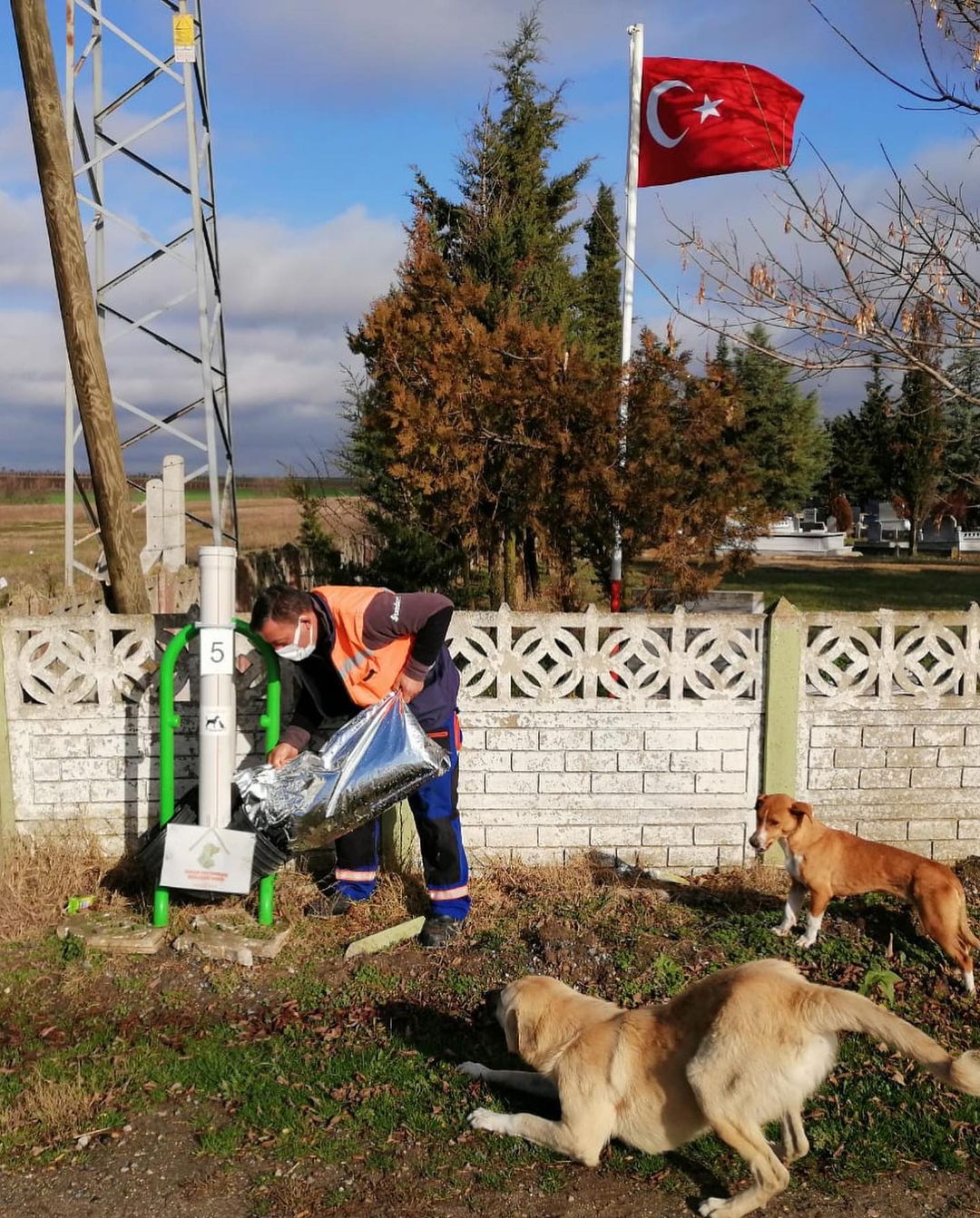 K Rklareli Valili I Nden Sokak Hayvanlar Na Mama Deste I G Ndem T Haber